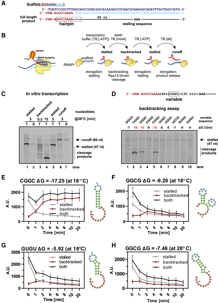 Figure 3