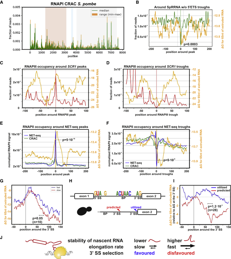 Figure 6