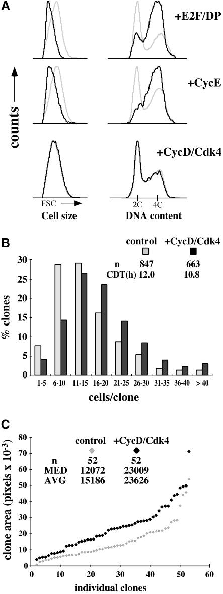 graphic file with name cdd470f1.jpg