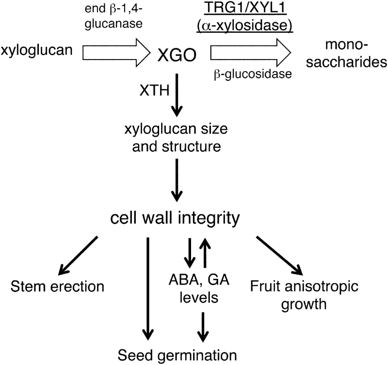 Fig. 10.