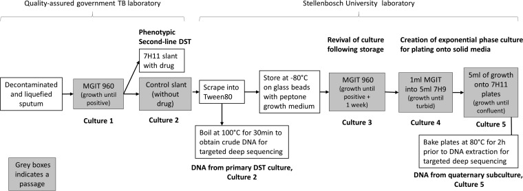 FIG 1