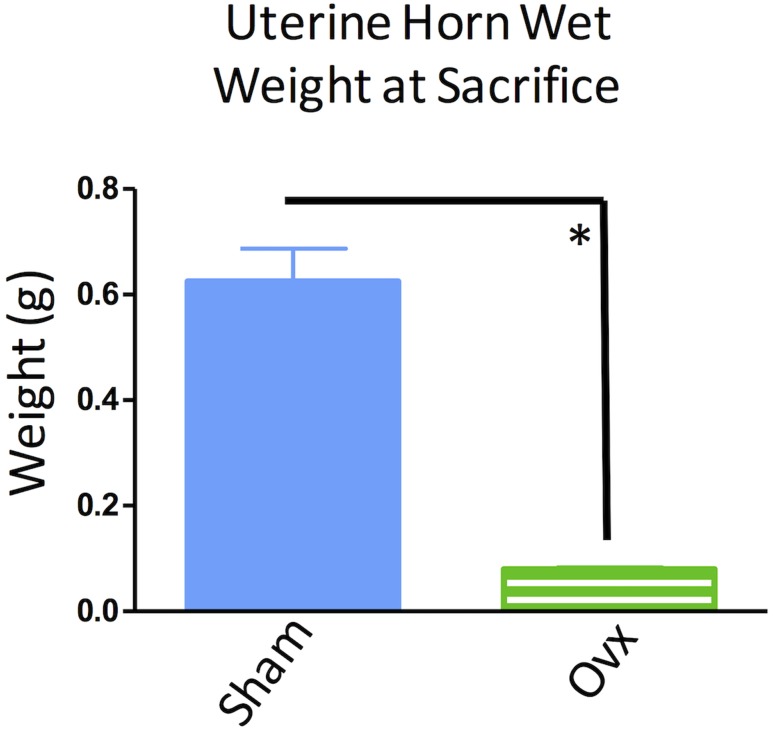 Figure 10.