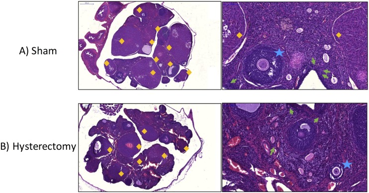 Figure 11.