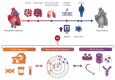Graphical Abstract