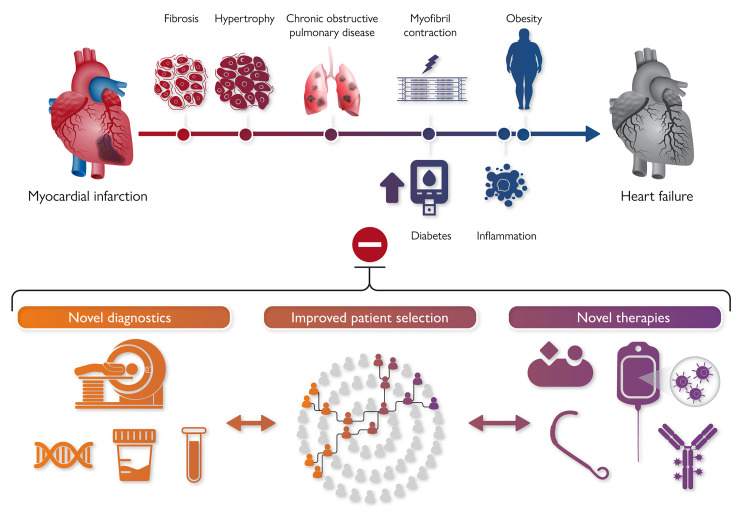 Graphical Abstract