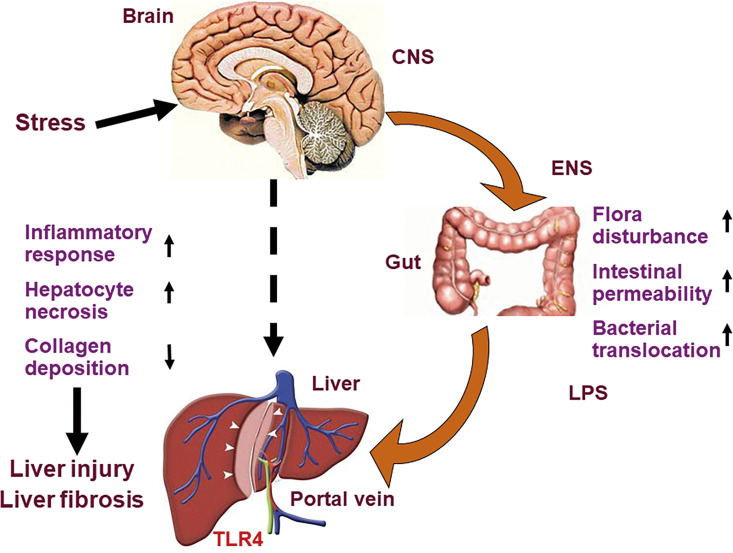 Figure 7