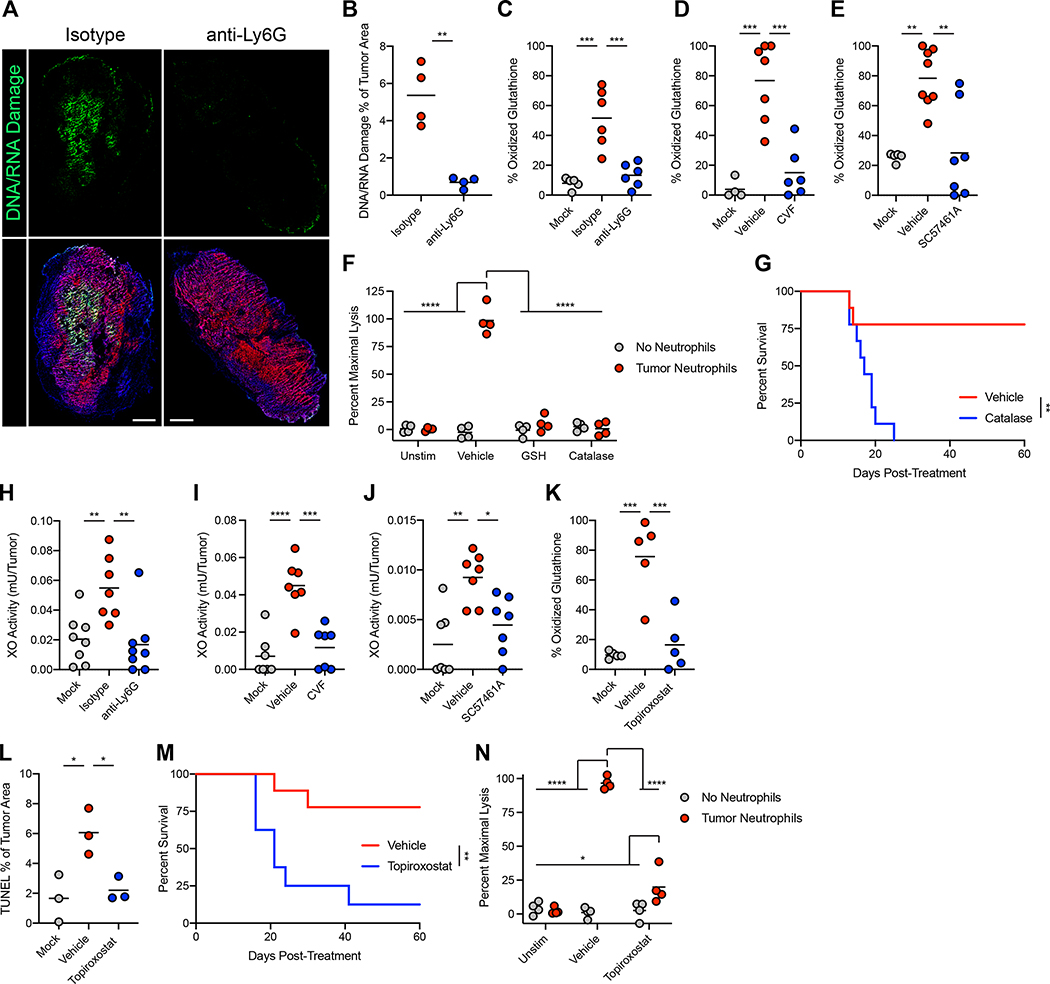 Figure 6: