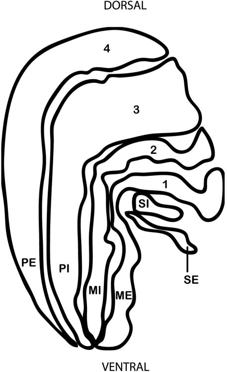 Fig. 9