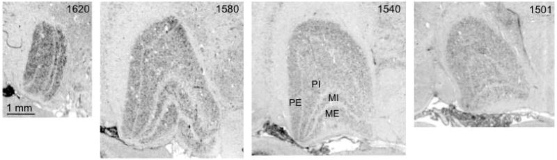 Fig. 5