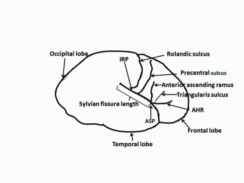 [Table/Fig-1]: