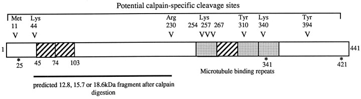 Fig. 10.