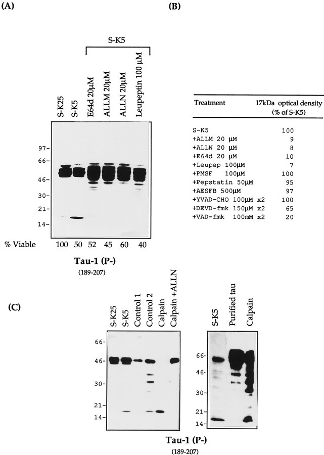 Fig. 8.