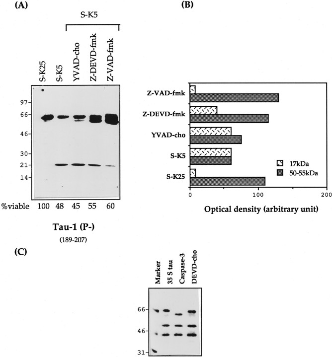 Fig. 9.