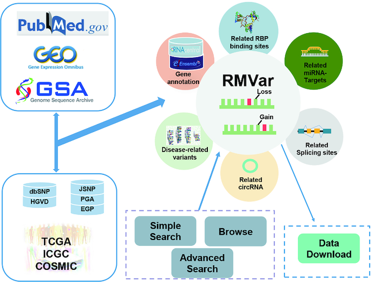 Graphical Abstract