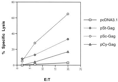 FIG. 7