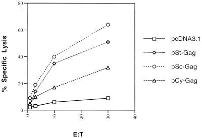 FIG. 6