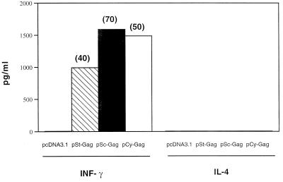 FIG. 5