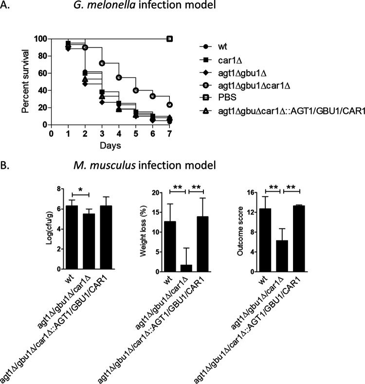 FIG 4