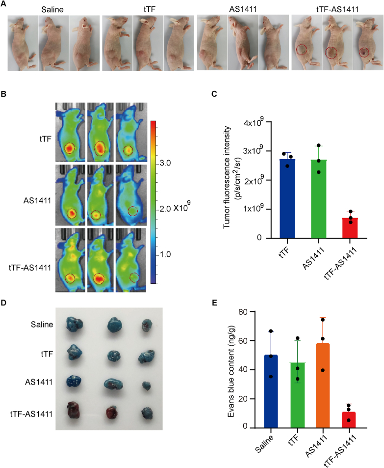 Figure 4