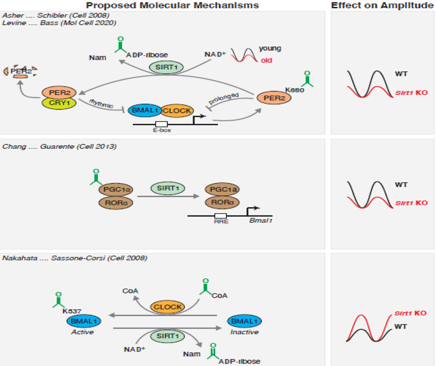 Figure 2: