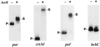 FIG. 5.