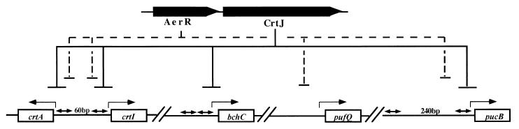 FIG. 7.