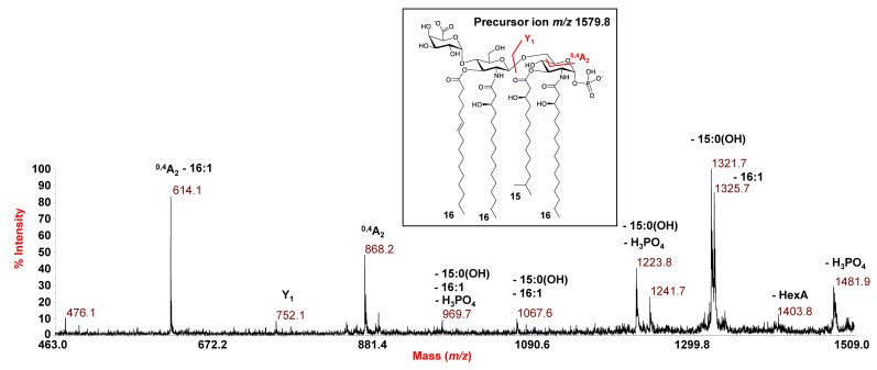 Figure 5