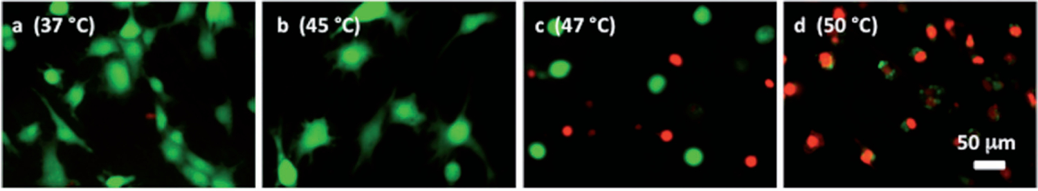 Figure 11.