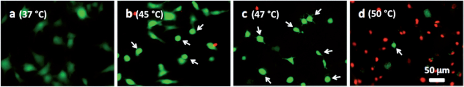 Figure 6.