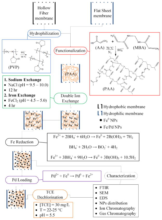 Scheme 1