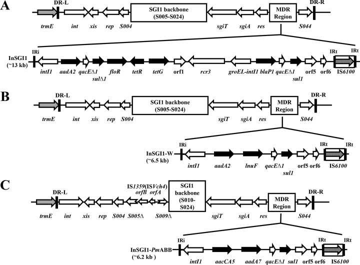 FIG 1