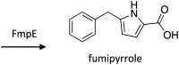 Scheme 16