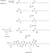 Scheme 7