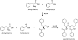 Scheme 26