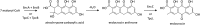 Scheme 13