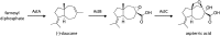 Scheme 24