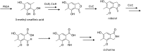 Scheme 6
