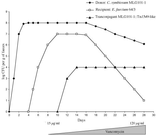 FIG. 1.