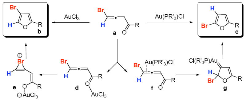 Scheme 1