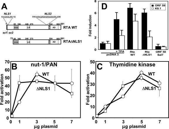 FIG. 1.