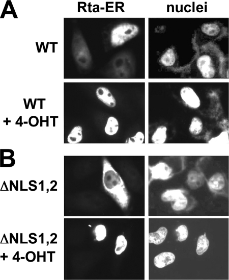 FIG. 5.