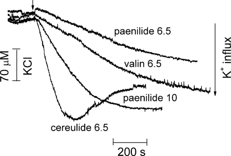 Fig 5