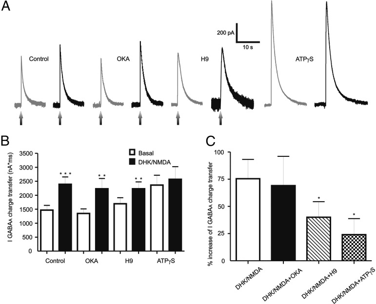 Figure 7.