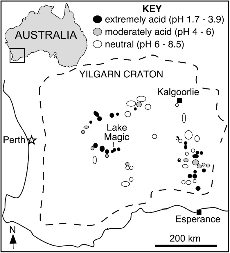 FIG. 1.