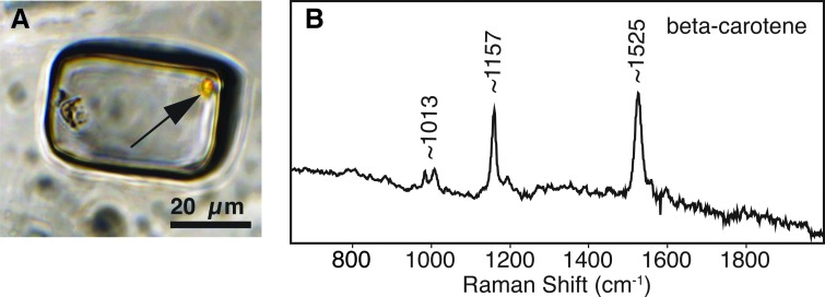 FIG. 7.