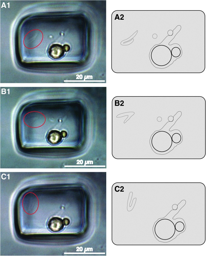 FIG. 5.