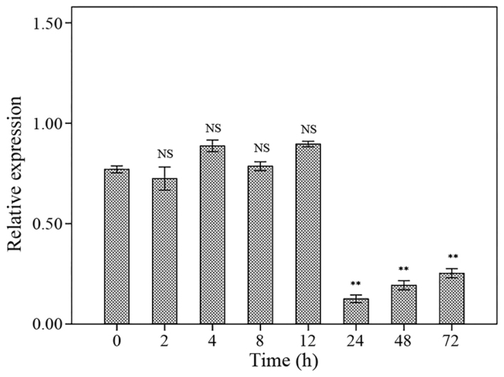 Figure 4.