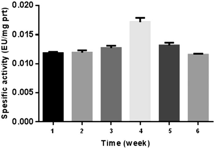 Figure 3.