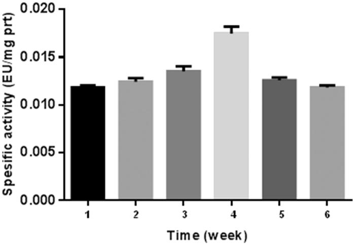 Figure 2.