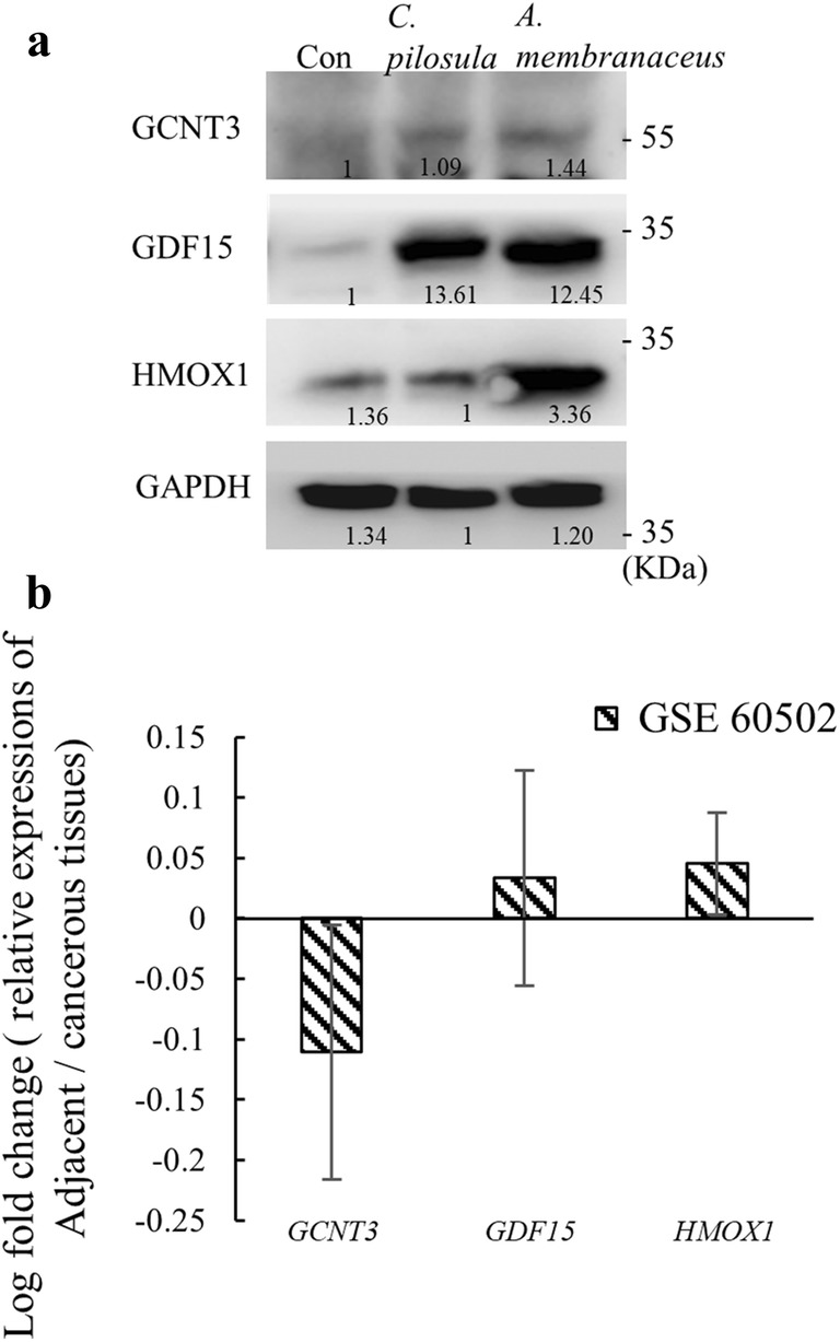 Fig. 7